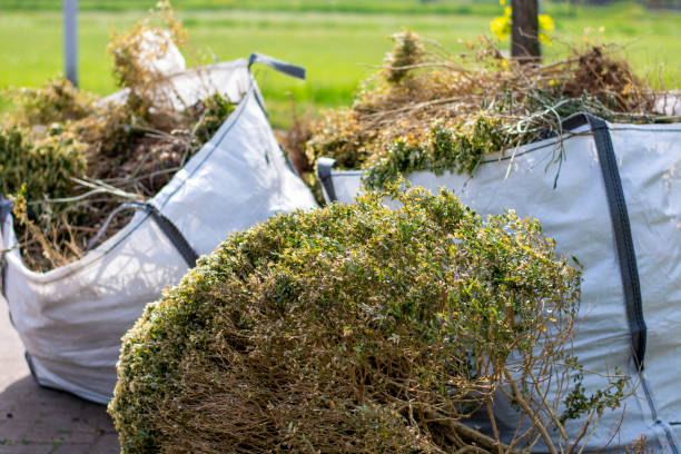 Best Commercial Cleanout Services  in Fern Park, FL
